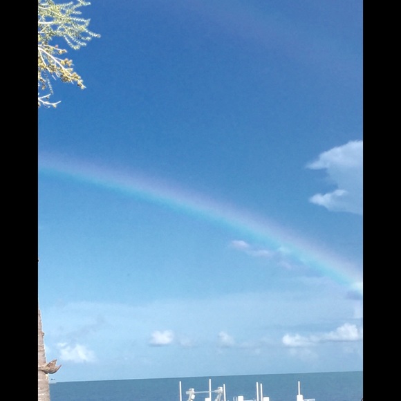 ⭐️Sunshine ❤️🌹🇺🇸 Posh Ambassador - Picture 2 of 2